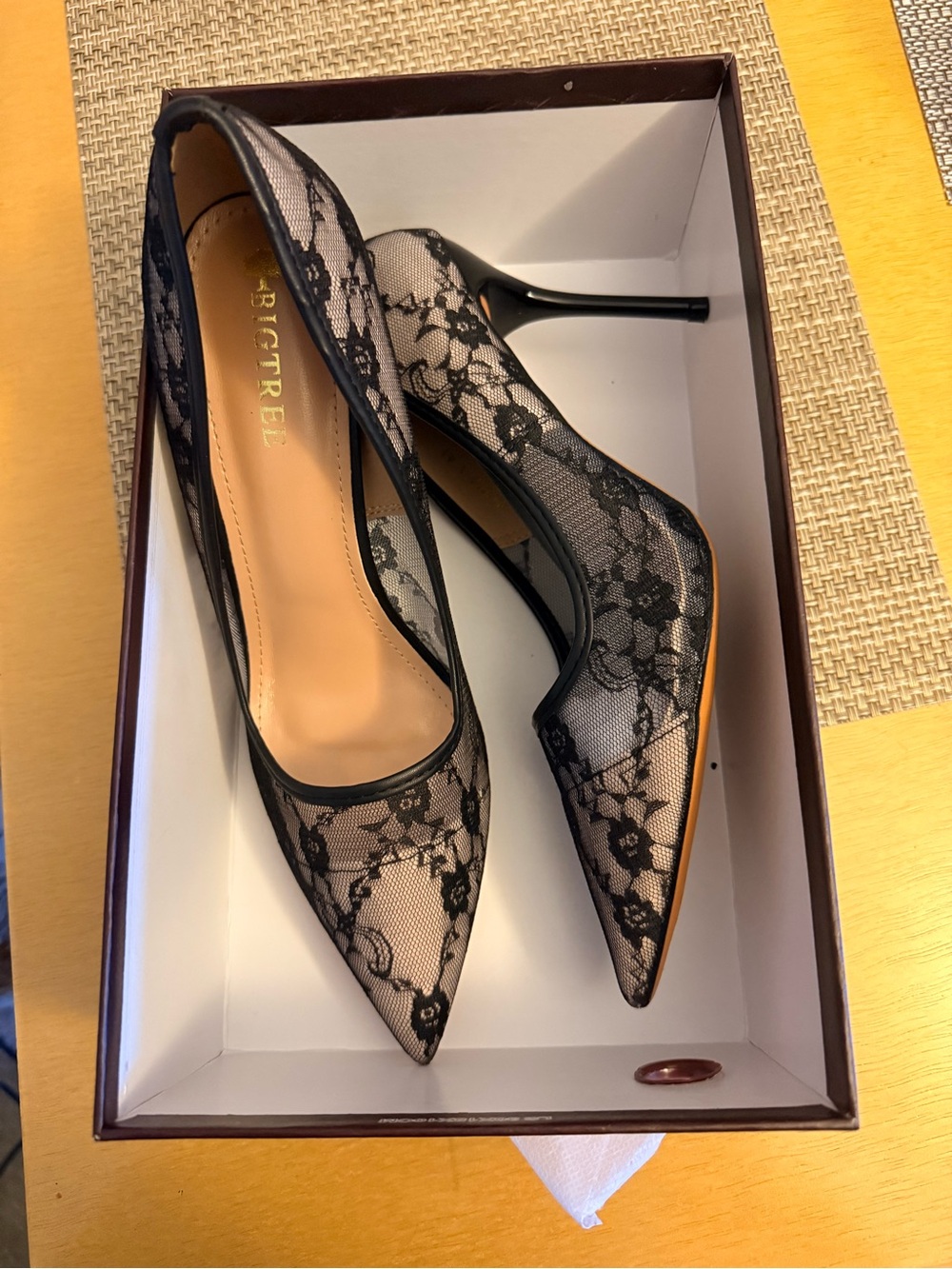 Black Lace Pointed Toe Stiletto Pumps